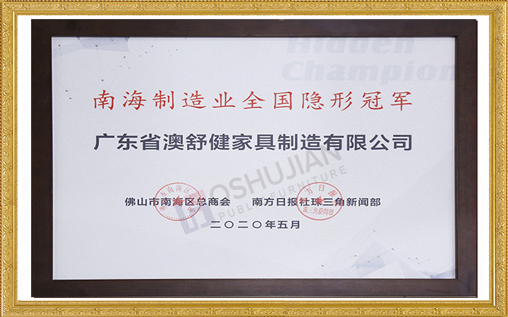 Nanhai Manufacturing National Hidden Champion(图1)